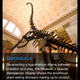 Illustration for article titled American Museum of Natural Historys Explorer App Makes Paper Museum Maps Ancient Artifacts